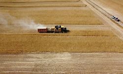 Çiftçilere müjde! Bakan Yumaklı açıkladı! Ödemeler bugün yapılacak