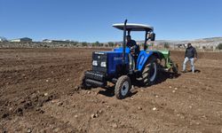 Gaziantep'te nohut ekimi başladı