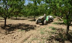 Üreticilere manolya hastalığı uyarısı