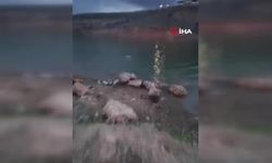 Gece yarısı cesedi bulunmuştu! Ölüm anı ortaya çıktı… (VİDEO HABER)