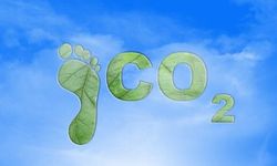 Karbon Ayak İzi Raporlama Nedir, Şirketler Nereden Başlamalı?