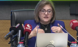 Şahin, Suça Sürüklenen Çocuklar Araştırma Komisyonunda konuştu