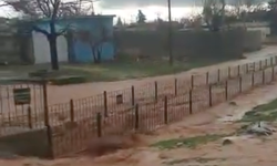 Antep Fıstığı ağaçlarını sel vurdu (VİDEO HABER)