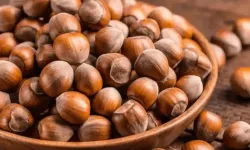 Güncel fındık fiyatları 5 Mart 2026 Perşembe il il liste: Trabzon, Samsun, Sakarya kaç TL?