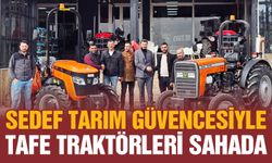 TAFE Traktörlerine Yoğun Talep: Çiftçilerin Tercihi Oldu