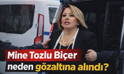 Mine Tozlu Biçer Kimdir, Kaç Yaşında, Nereli, Evli Mi, Eşi Kim, Serveti Ne Kadar, Mal Varlığı Nedir?