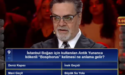 Bosphorus Ne Demek? İstanbul Boğazı’nın Antik Yunanca Kökenli Anlamı Nedir