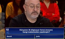 Dünyanın ilk bilgisayar faresi (mouse) hangi malzemeden yapılmıştır?