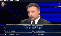 Hangi ülkenin anayasasında resmi dil belirtilmiştir?