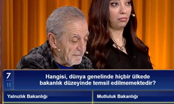 Hangisi, dünya genelinde hiçbir ülkede bakanlık düzeyinde temsil edilmemektedir?