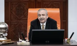 Sırrı Süreyya Önder Kimdir? Kaç Yaşındaydı, Nereli, Evli Miydi, Neden Öldü, Kalp Krizi ve Aort Yırtılması Nedir?