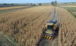 Hububat üretiminde gözler bahar yağışları ve sıcaklıklara çevrildi!