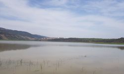 Gaziantep'te tarım arazileri sular altında kaldı: Yetkililer harekete geçti!