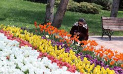 Gaziantep Botanik Bahçesi'nde ilkbahar renkleri hakim oldu!
