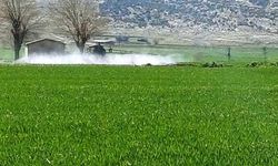 Gaziantep’te sarı pas hastalığını önlemek amaçlı ilaçlı mücadele başlatıldı!