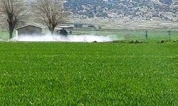 Gaziantep’te sarı pas hastalığını önlemek amaçlı ilaçlı mücadele başlatıldı