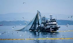 Bakanlık açıkladı! Denizlerde av yasağı başlıyor