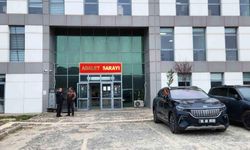 Gülistan Doku soruşturmasında tutuklu sayısı yükseldi