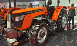 78 ilde arttı, bu 3 ilde azaldı