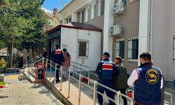 İntihar ettiği söyleniyordu! Genç kadının cinayete kurban gittiği ortaya çıktı