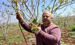 Gaziantepli üreticiler mücadele başlattı