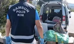 Araçta şaşırtan gizleme yöntemi! Koliden ve halıdan silah çıktı… (VİDEO HABER)