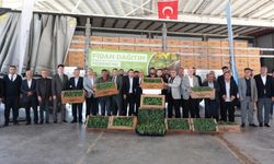 Gaziantep’te karpuz üreticisi çiftçilere yüzde 50 hibeli fide desteği! 150 bin adet karpuz fidesi dağıtıldı