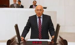 “Reklamlar, Anadolu Basınını kapsamadı”