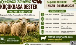 Hayvancılıkta yeni dönem: Ücretsiz destekle üretim artacak