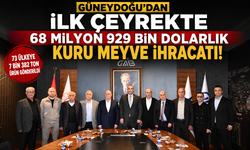 Güneydoğu'dan ilk çeyrekte 68 milyon 929 bin dolarlık kuru meyve ihraç edildi