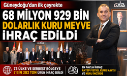 Güneydoğu'dan ilk çeyrekte 68 milyon 929 bin dolarlık kuru meyve ihraç edildi