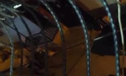 Gaziantep'te 22 yaşındaki genci öldürmüşlerdi! O sanıklar için mütalaa açıklandı (VİDEO HABER)