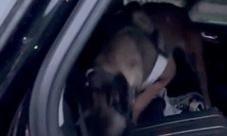 TAG otoyolunda 3 farklı araçta 5 kilo 90 gram uyuşturucu ele geçirildi