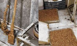 Hatay’da bu görüntüler mide bulandırdı! Cezerye ve lokum üretiyorlardı