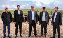 Gazianteplilere güzel haber! Umut Yılmaz kurban fiyatlarını açıkladı!