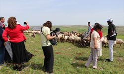 Sürü Nereye Gidiyor'un Gaziantep ayağındaki çekimleri tamamlandı