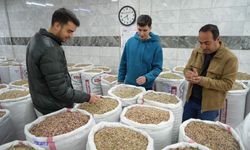 İran-ABD ve İsrail savaşı Antep fıstığı satışını durdurdu!