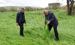 Gaziantep’te hububatı ‘süper hücre' vurdu! Binlerce dönüm arazi zarar gördü
