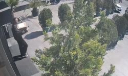Kargoyla uyuşturucu teslimatına baskın! 5 bin 400 gram marihuana ele geçirildi