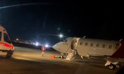 Sağlık Bakanlığı'ndan Hantavirüs açıklaması