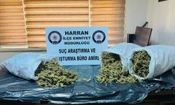 Gaziantep’in komşu ilinde zehir tacirlerine aman verilmiyor! 8 kilo uyuşturucu ele geçirildi