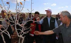 “Süper hücre” felaketi çiftçiyi vurdu: TZOB Başkanı Bayraktar afet bölgesinde!