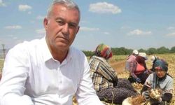 Sağlam ve Altun, Araban sarımsağının gelişimini yerinde inceledi!