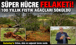 Gaziantep'te 'süper hücre' fırtınası fıstık ağaçlarını söktü