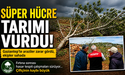 Gaziantep'te tarım arazilerini ‘Süper Hücre’ vurdu! Hasar tespit çalışmaları sürüyor...