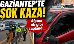 Gaziantep’te şok kaza! Ağaca ok gibi saplandı…