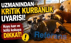 Uzmanından kritik kurbanlık uyarısı! Koyu kan ve kötü kokuya dikkat!