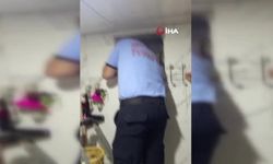 Gaziantep’te mahsur kalan güvercini itfaiye kurtardı! (VİDEO HABER)