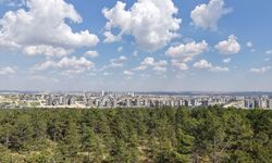 Türkiye’nin yeşil ağı büyüyor! Manisa ve Gaziantep'teki iki alan tabiat parkı ilan edildi