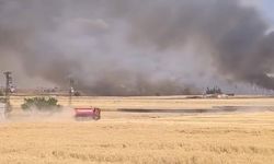 Şanlıurfa'da yüzlerce dönümlük ekili arazi yandı